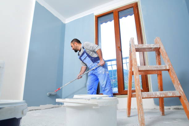 Best Black Mold Removal  in Wakeman, OH